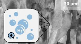 Figure 1: Bamboo-like microstructure of an investigated duplex steel consisting of comparable phase fractions of ferrite (dark) and austenite (light); Image: MCL