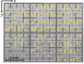 Scanning-Acoustic-Microscopie-Bilddaten, die für Tests auf Wafer-Ebene verwendet werden. Dieser Bereich eines Wafers enthält etwa 800 TSVs (schwarze Punkte), gelbe Quadrate zeigen Regionen mit fehlerhaften TSVs; Bild: MCL